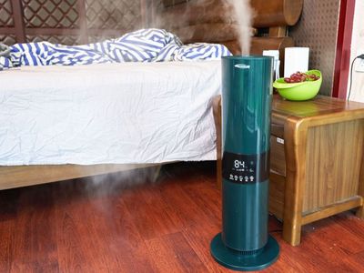 舒樂氏藍嶺霧加濕器 在家里種上一棵會呼吸的樹